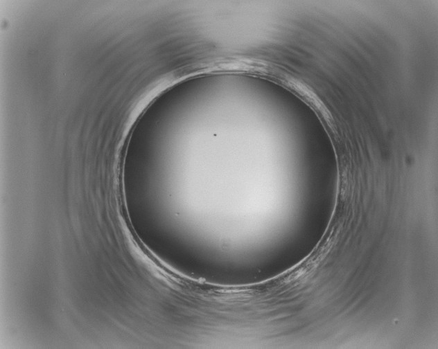 X0000062651483200601040905