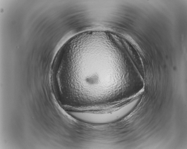 X0000062651484200601040905