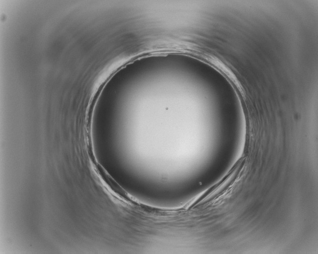 X0000062651485200601040905