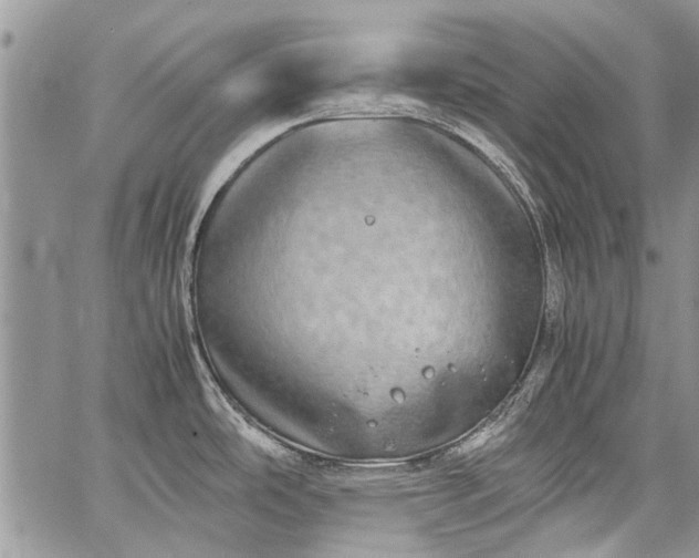 X0000062651486200601040905