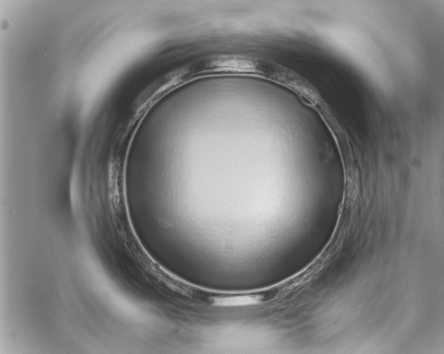 X0000062651487200601040905