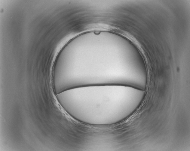 X0000062651488200601040905