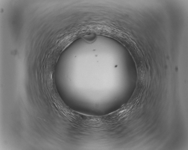 X0000062651489200601040904