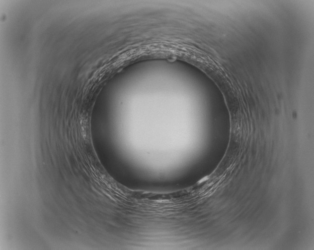 X0000062651490200601040904