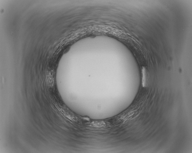 X0000062651491200601040904