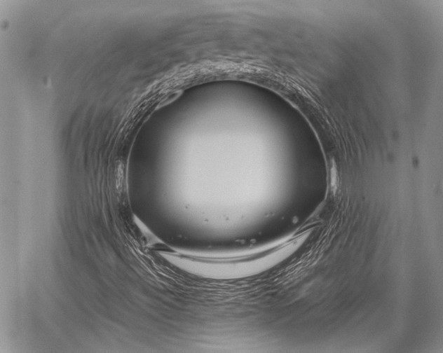 X0000062651492200601040904