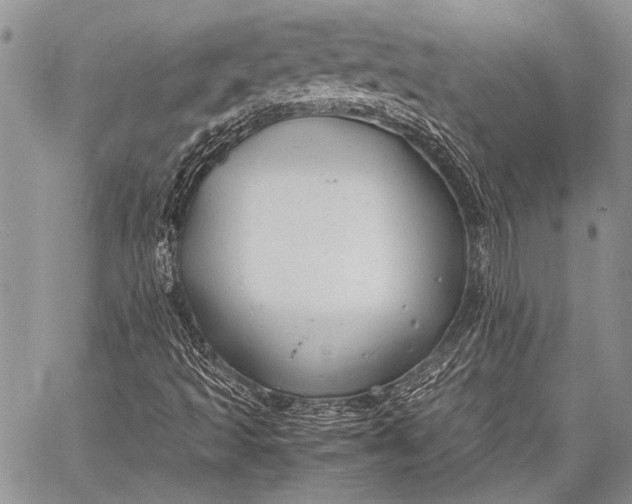 X0000062651493200601040904