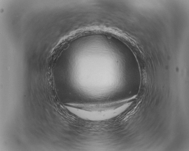 X0000062651494200601040904