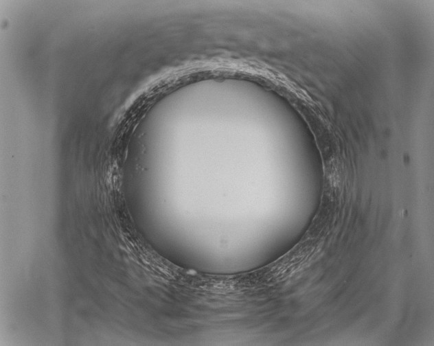 X0000062651495200601040904