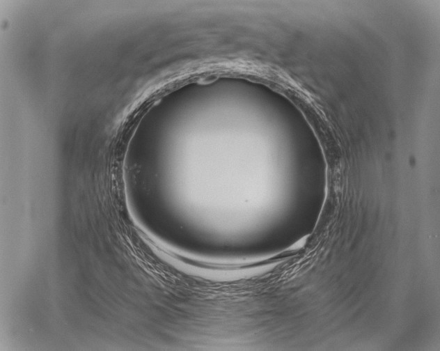 X0000062651496200601040904