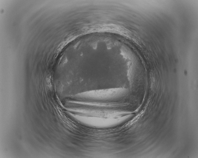 X0000062651497200601040904