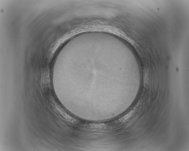 X0000062651498200601040904