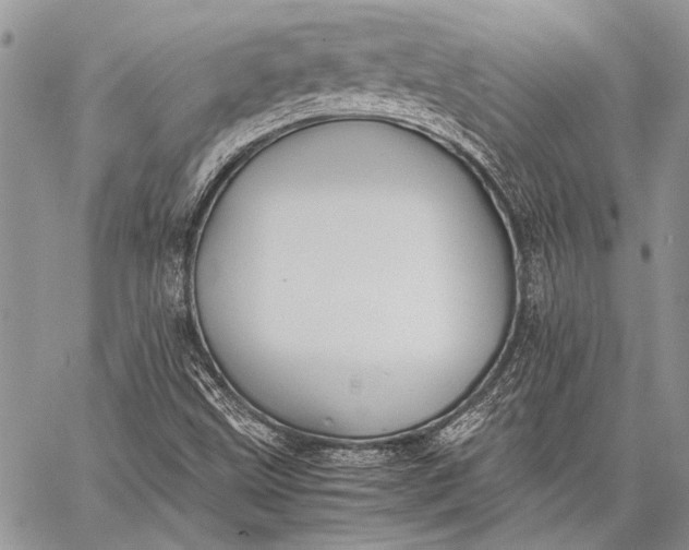 X0000062651499200601040904