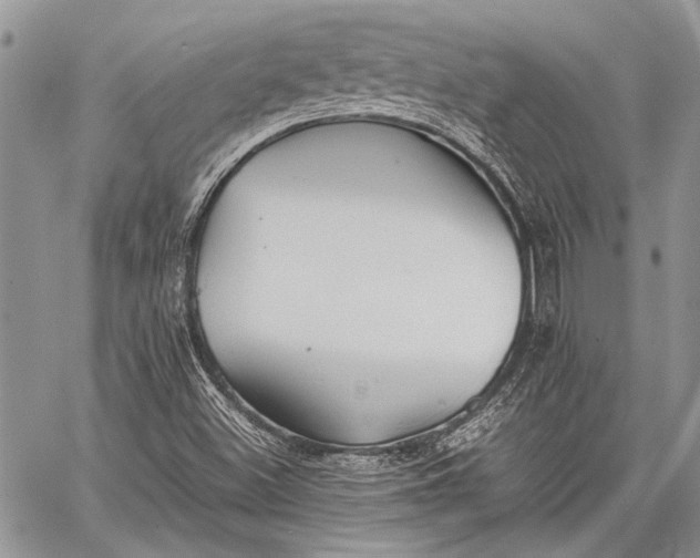 X0000062651500200601040904