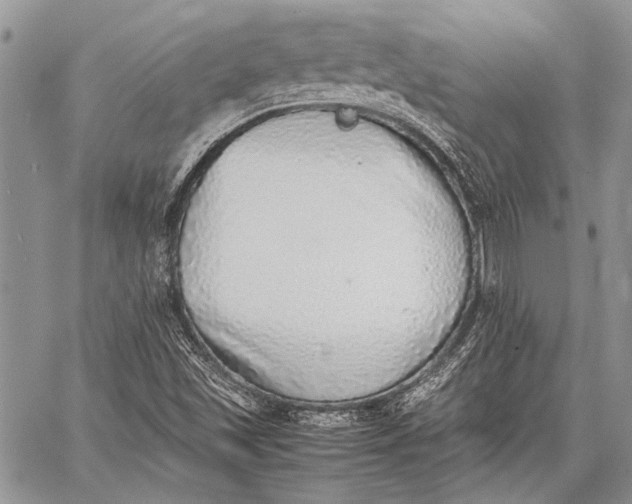 X0000062651501200601040904