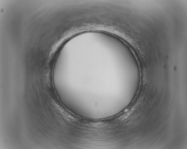 X0000062651502200601040904