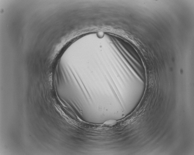 X0000062651503200601040904