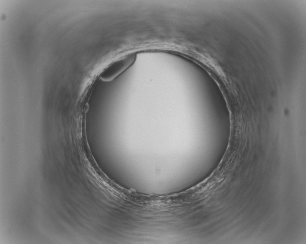 X0000062651504200601040904