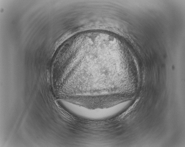 X0000062651505200601040904