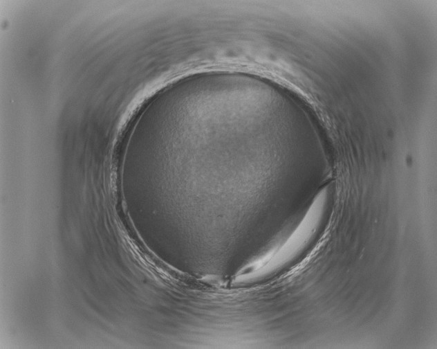 X0000062651506200601040904