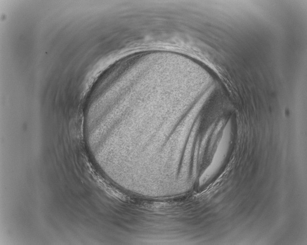 X0000062651507200601040904