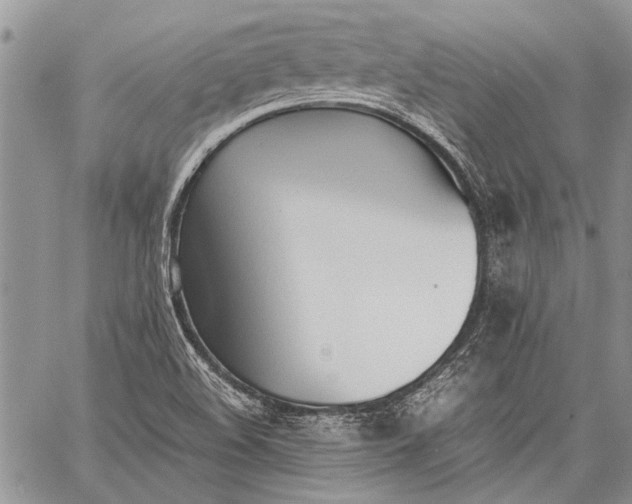 X0000062651508200601040904