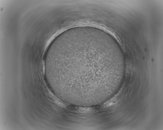 X0000062651509200601040904