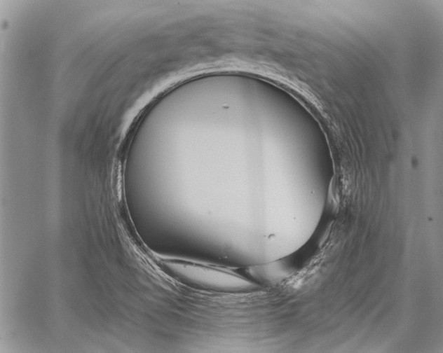 X0000062651510200601040904