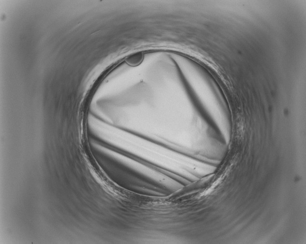 X0000062651511200601040905