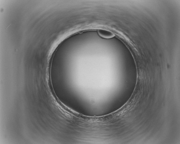 X0000062651512200601040905