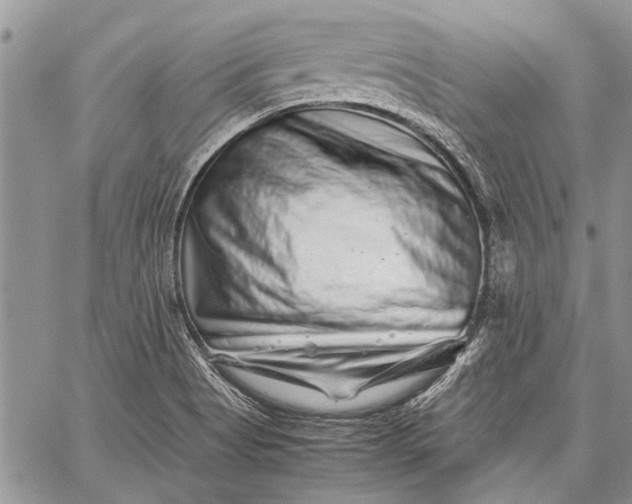 X0000062651513200601040905