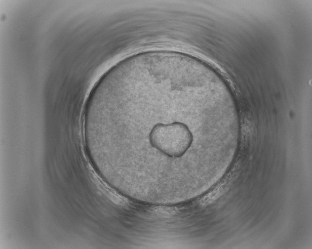 X0000062651514200601040905