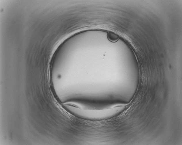 X0000062651516200601040905