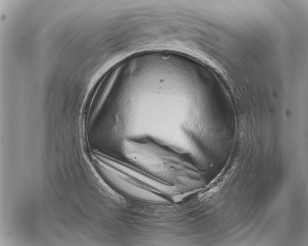 X0000062651517200601040905