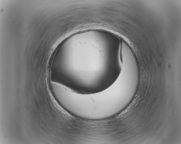 X0000062651518200601040905