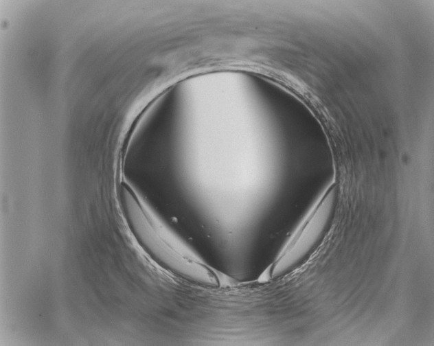 X0000062651520200601040905