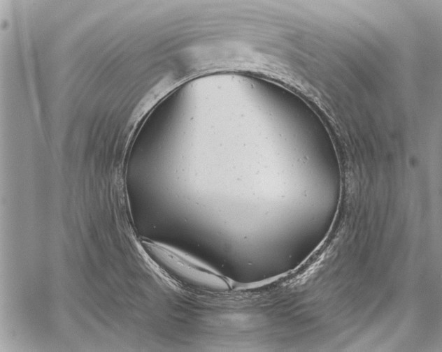 X0000062651521200601040905