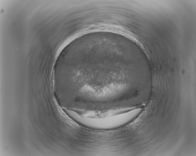 X0000062651522200601040905