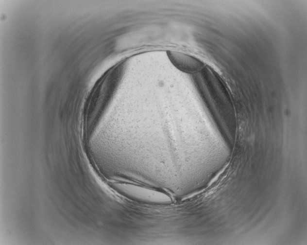 X0000062651523200601040905