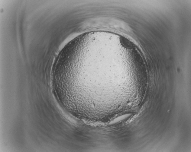 X0000062651525200601040905