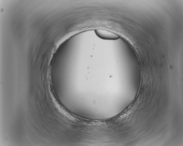 X0000062651526200601040905