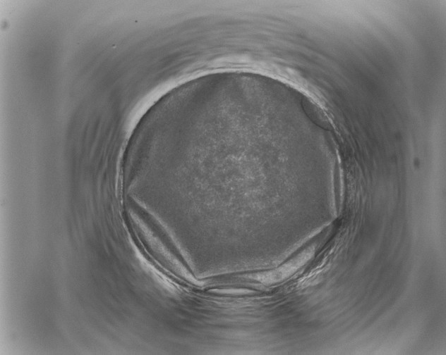 X0000062651527200601040905