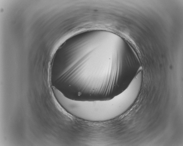 X0000062651528200601040905