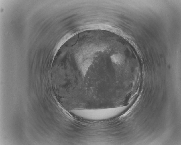 X0000062651529200601040905