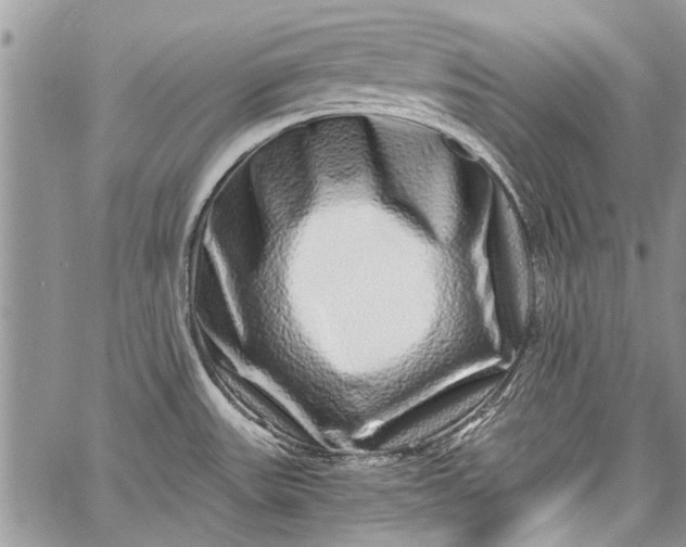 X0000062651531200601040905