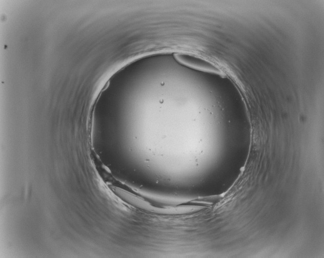 X0000062651532200601040905