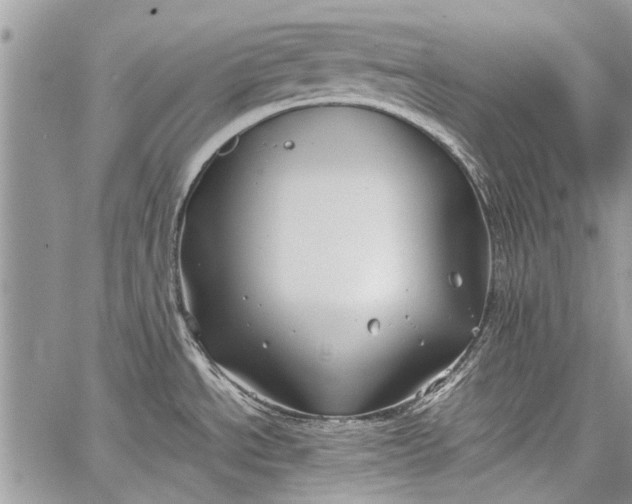 X0000062651534200601040905