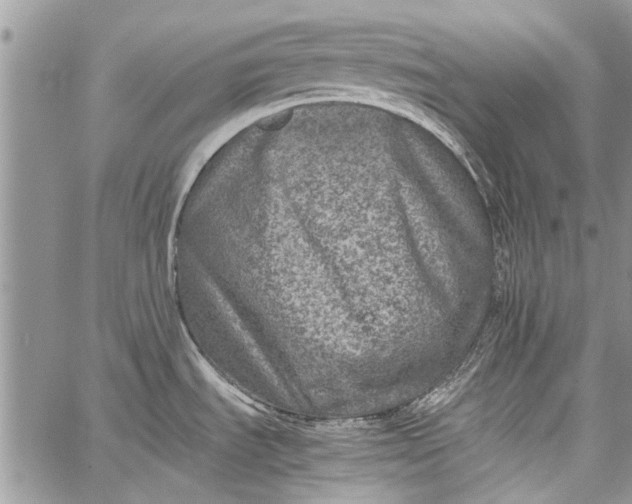 X0000062651535200601040905