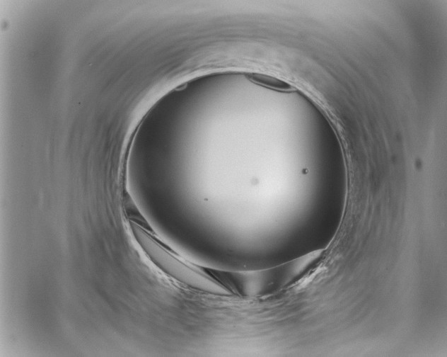 X0000062651536200601040905