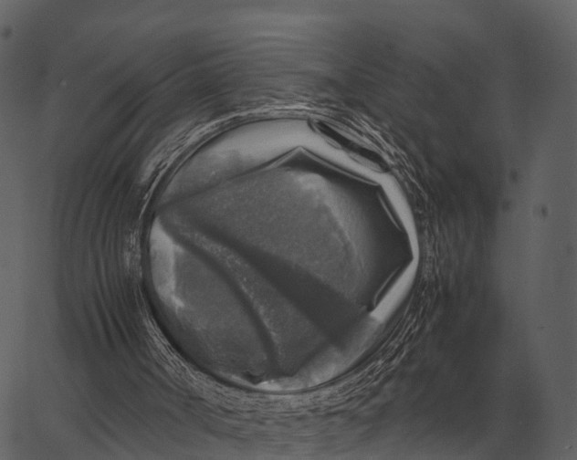 X0000062650002200601111204